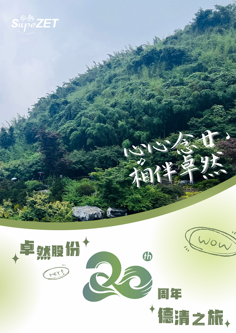 心心念廿 相伴Stake | 与德清相约 贺廿载诞辰