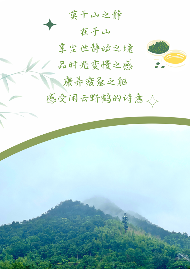 心心念廿 相伴Stake | 与德清相约 贺廿载诞辰