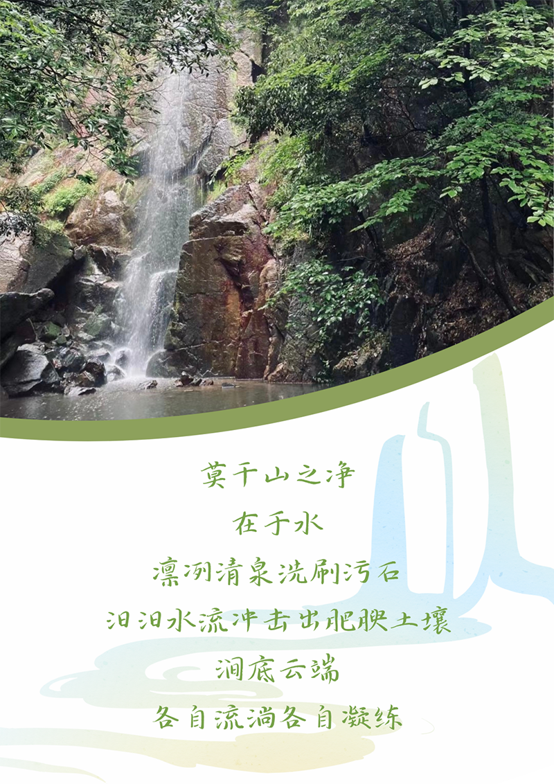 心心念廿 相伴Stake | 与德清相约 贺廿载诞辰