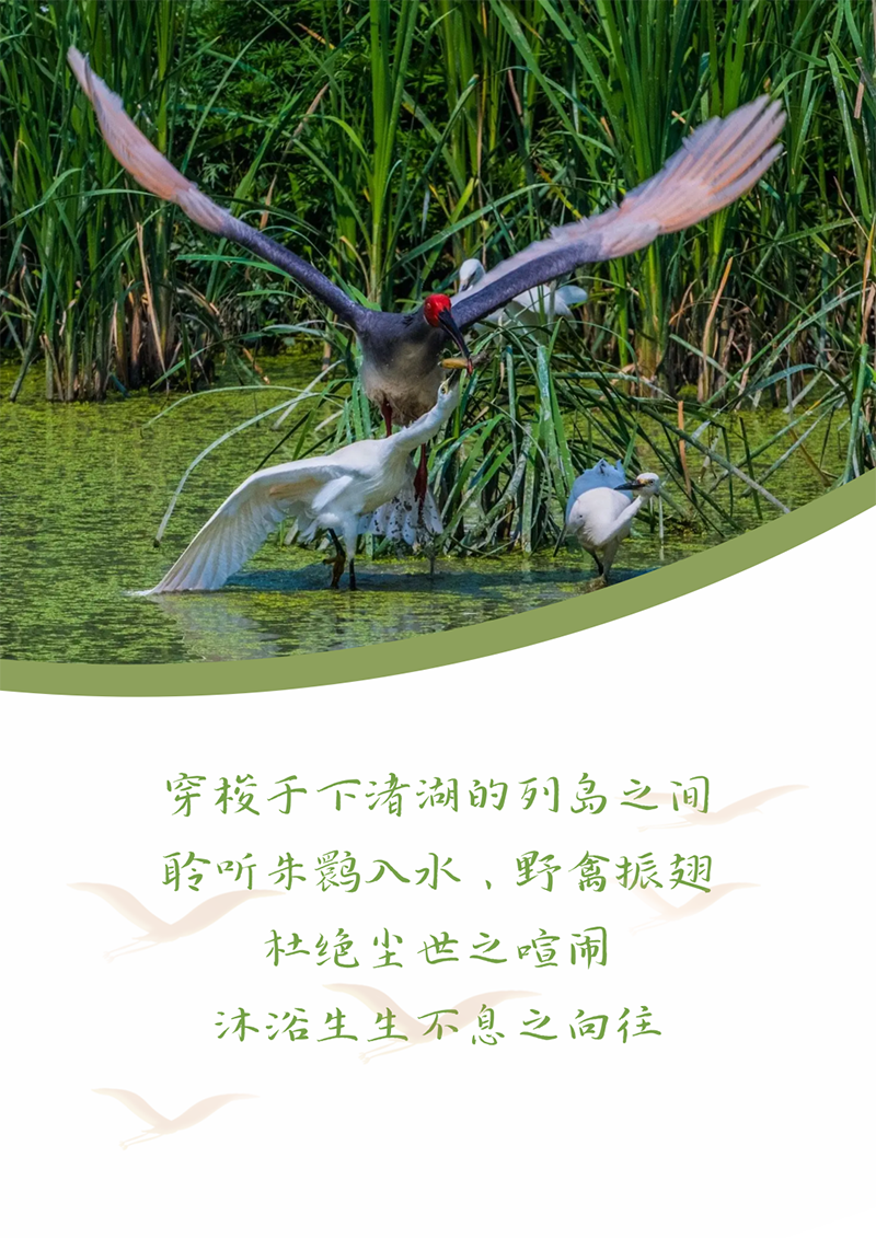 心心念廿 相伴Stake | 与德清相约 贺廿载诞辰